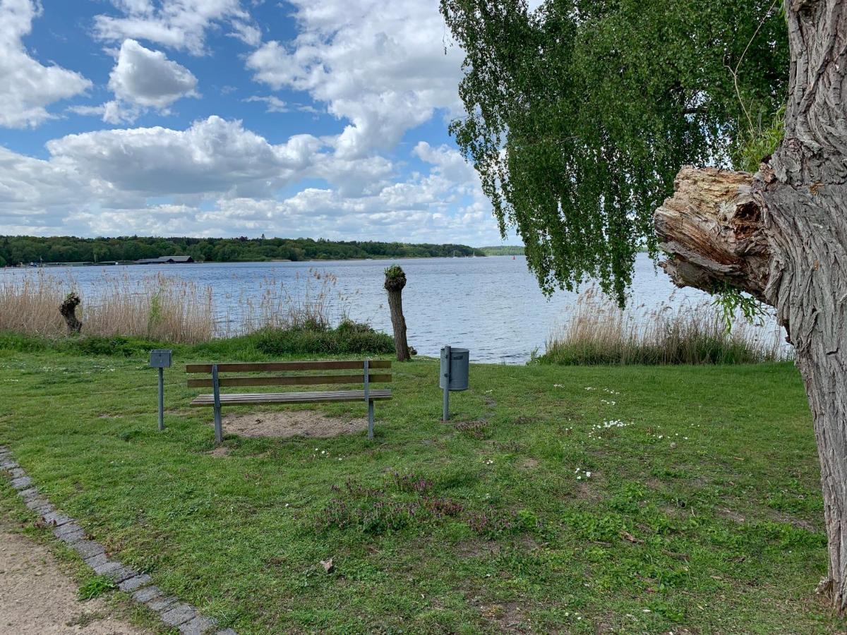 Am Mueritz Seeufer Waren (Mueritz)